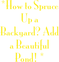 *How to Spruce Up a Backyard? Add a Beautiful Pond! *
